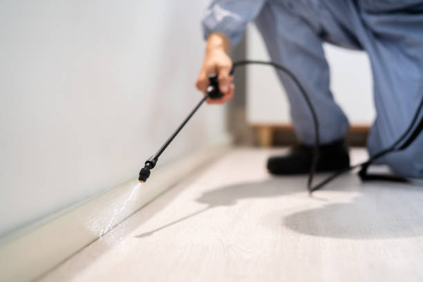 Licensed Cockroach Control service in Randolph County County, IL - Nex Pest Control